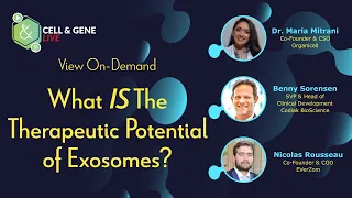 What Is The Therapeutic Potential Of Exosomes?