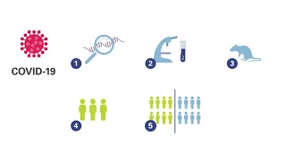 Wie sicher sind schnell entwickelte Corona-Impfstoffe? │ SBK #Coronavirus #Coronoaimpfung