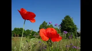 Weerbericht Vrijdagmiddag: Eerst nog buien, weekend wordt zonnig en warm