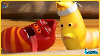 LARVA NEW VERSION TOP 100 EPISODE | COMEDY VIDEO 2023 | THE BEST OF CARTOON BOX