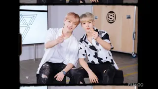 Seventeen Dino & Hyungs FMV