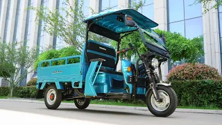 2020 New Design Huaihai Brand Big Loading Cargo Electric Carrier with Roof & Windshield - H21