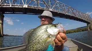 Multi-Species Fishing On The Tennessee River