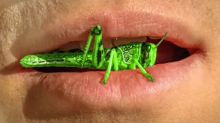 Is Eating Bugs Actually DANGEROUS? (This Will Surprise You!)