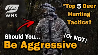 Top 5 Aggressive Deer Hunting Tactics