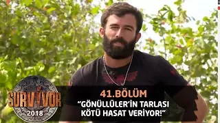 Turabi: "Gönüllüler takımının tarlası kötü hasat veriyor" | 41.Bölüm | Survivor 2018