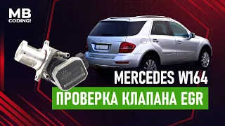 Mercedes ML diagnostic / EGR valve check / W164 W221/ OM642CDI