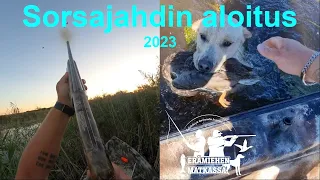 Sorsajahdin aloitus 2023 | Veltsu noutaa |  @eramiehenmatkassa  #metsästys #jakt #hunting