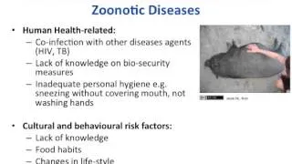 EAHA DM 1.2b: Introduction to Epi-zoonotic Diseases - Multi-Lingual Captions