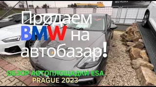 Как проходит выкуп авто в Праге? Обзор автоплощадки ESA. Цены и состояние авто.