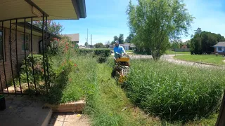 Elderly neighbor reported it to the city and surprised I’m mowing it for free