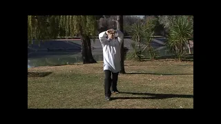 Tai - Chi Forma familia Yang de 13 Movimientos