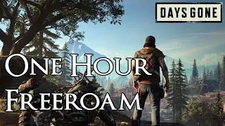 Days Gone - 1 Hour of Free Roam Exploration