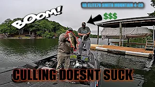 Smith mountain giant bass for money! YAMAMOTO SENKO CASHES CHECKS!!