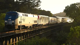 SOUTH BAY TRAIN ACTION | AMTK 203, Caltrain EMU's, and More