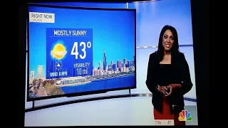 Alicia Roman - On NBC 5 News Chicago