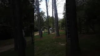 Bored smashing tree