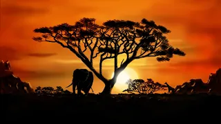 Relax in 10 Minute With African Animals Paired with Lofi Music For Better Sleep And Relaxation #3