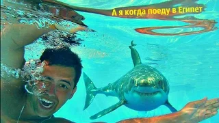 Классные приколы 66 Подборка смешных и веселых видео 2016