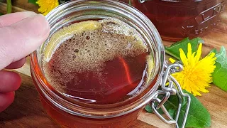 Dandelion honey: the secret recipe for delicious and free honey!