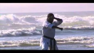 karate kid kata sequence