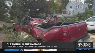 Trees Damage Vehicles, Houses During Storm In Lynn