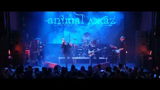 Animal ДжаZ - Так надо, 29-12-2022, Urban Msk