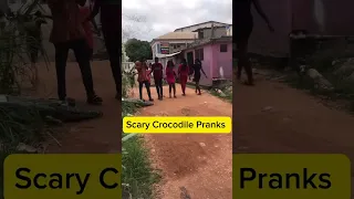 Crocodile Attack #knustpranks #shorts