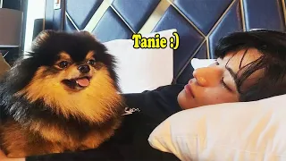 BTS with YEONTAN (Don't fall in love with YEONTAN Challenge)