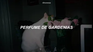 Sonora Santanera - Perfume de Gardenias // Letra