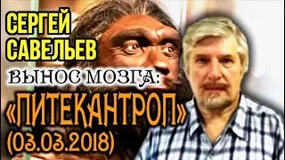 «ВЫНОС МОЗГА #34»: «Питекантроп». 03.03.2018. Савельев С.В.