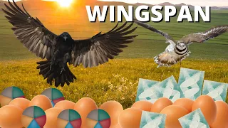 Can My Raven Beat Killdeer? Wingspan Board Game Gameplay