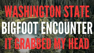 BIGFOOT ENCOUNTER WHILE STALKING ELK | "It Grabbed My Head When I Was Sleeping!!!"