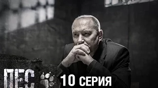 Сериал Пес - 10 серия