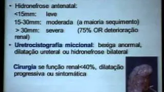 056 Avances y manejo post natal de hidronefrosis