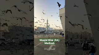 Masjid Bilal (RA) - Madinah Manawwara #shorts #madina #masjid #islamic #ramadan #viral #status #love