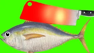 EXPERIMENT GLOWING 1000 DEGREE MEAT CHOPPER VS FISH TUNA