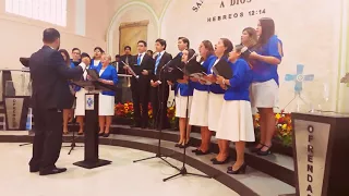 Canta aleluya al señor