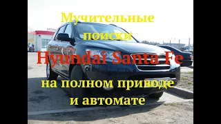 Мучительные поиски Hyundai Santa Fe  на полном приводе и автомате