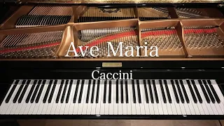 カッチーニのアヴェ・マリア // Ave Maria / Caccini