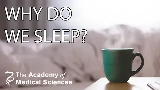 Why do we sleep? - the physiology and genetics | Professor Derk-Jan Dijk FMedSci