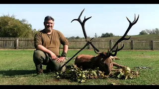 Croatia Red Stag Hunt 2023