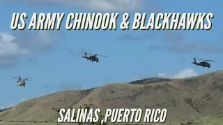 US Army Chinooks & Blackhawks in training at Camp Santiago, Salinas Puerto Rico #helicopters