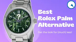 Best Rolex Palm Alternative - Get the Look for Less!