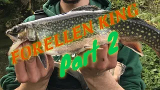 Forellen Angeln 🎣 am Bach Solothurn Kleinlützel👾 Part 2 / Schweiz