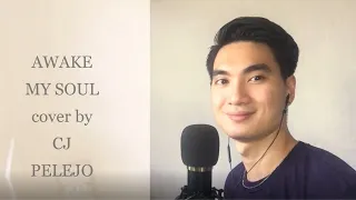 Awake My Soul - Hillsong Worship | CJ Pelejo (Cover)