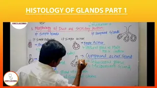 Histology of Glands Part 1 | Glands | Exocrine Glands | Amit's Lectures | UHS | Histo made Easy