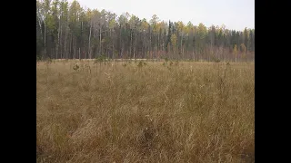 В поисках "Чёртова кладбища". Экспедиция 2016 года.