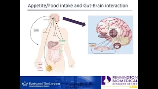 Long-term effects of Roux-en-Y gastric bypass surgery by Madusha Peiris