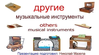 Другие музыкальные инструменты